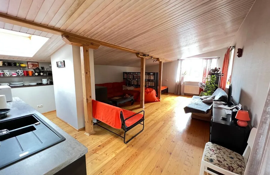 Studio Apartment And Free Airport Transfer-1
