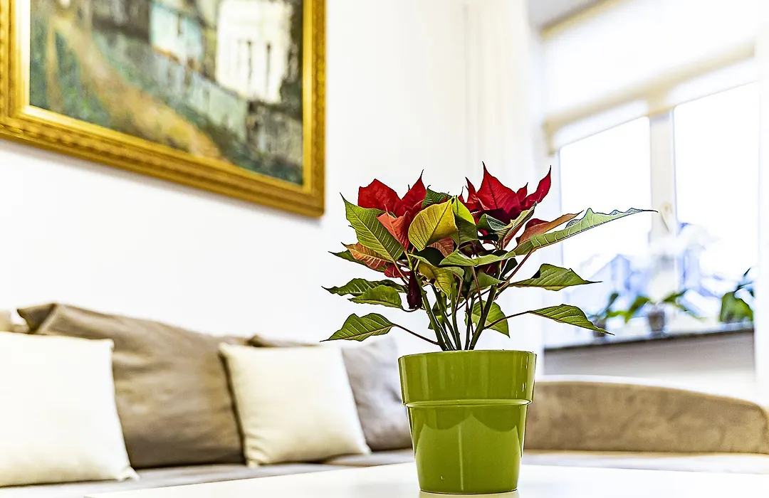 New Winwinstay Residence In Heart Of Old Town-1