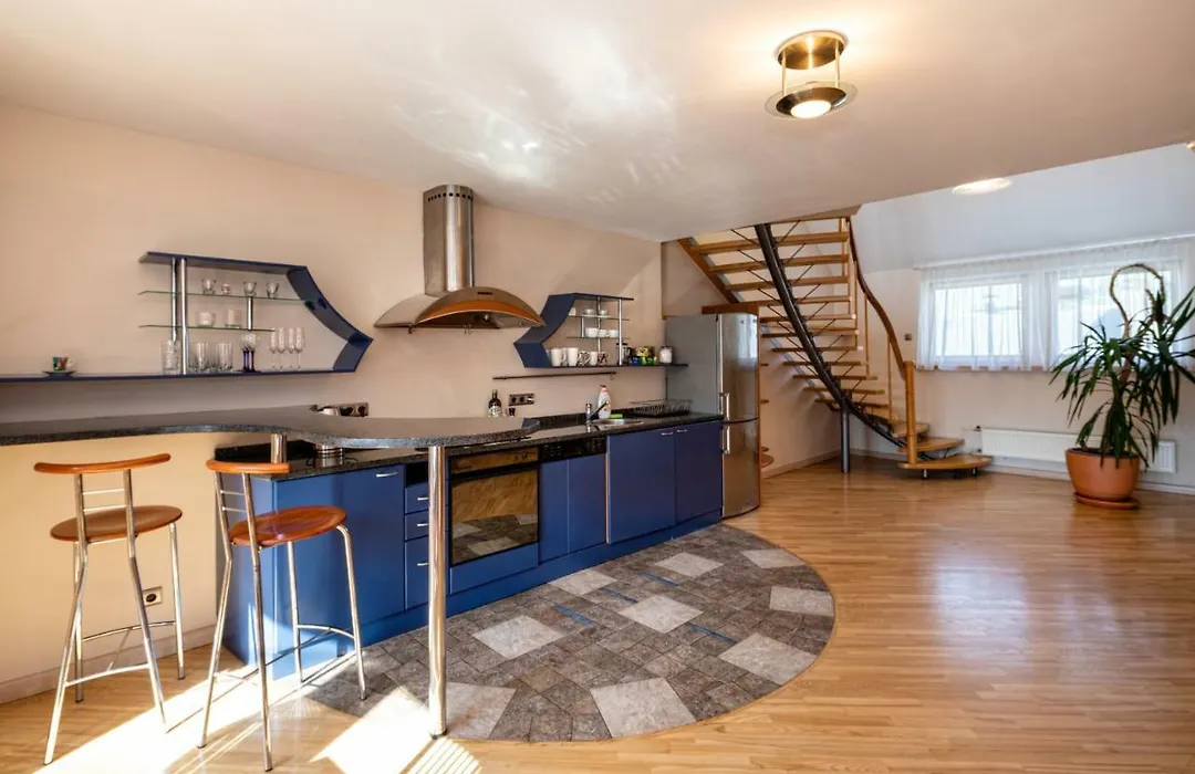 Old Riga Aldaru Street 2 Level Apartment With Terrace-1