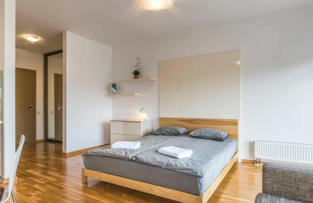 Riga Apartment In The Heart Of City-1