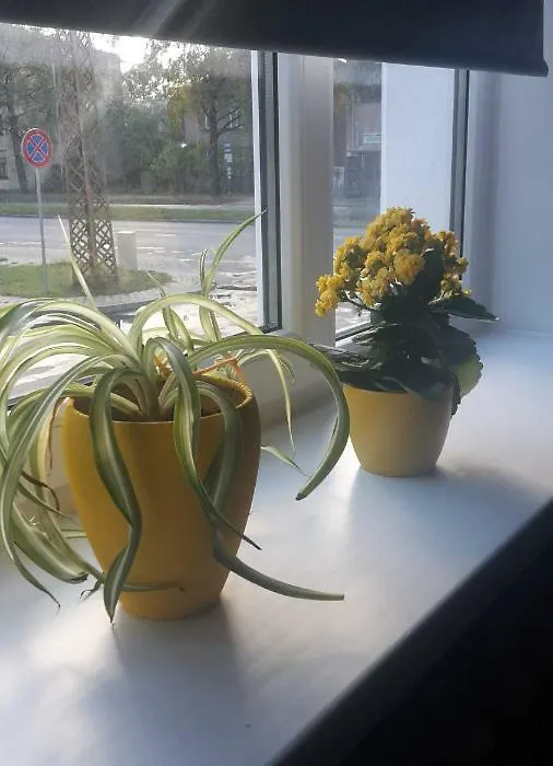 Apartment "Flowers"-1