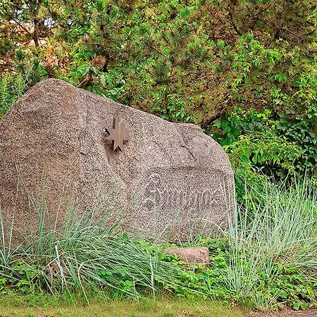 Smilgas-3