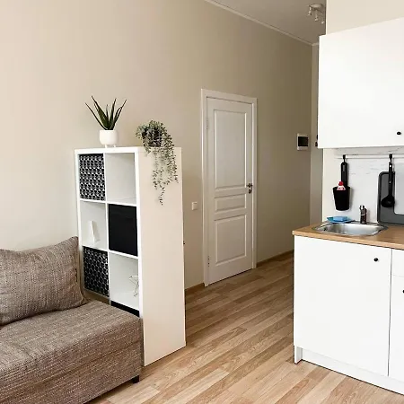Bright Spacious Apartment In Riga With Free Parking-3