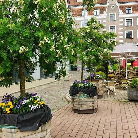 Neat And Cosy-2