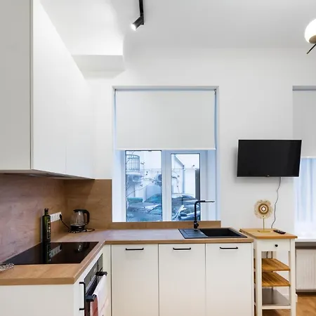 Brivibas House Design Apartments In City Center-3