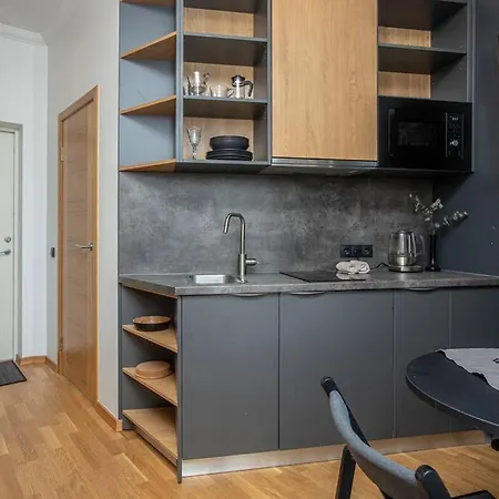 Design Apartments Between National Art Museum And Arena Riga-2