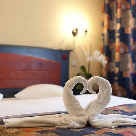 Art Hotel Laine-2