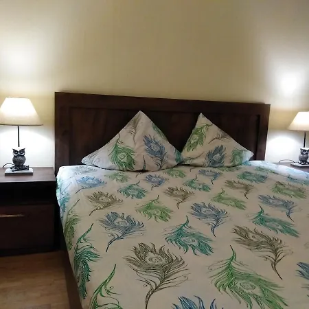Raina Lux Apartment-2
