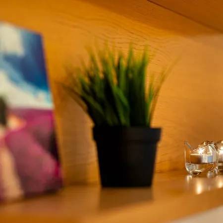 Dzirnavu Street Apartment In City Center-3
