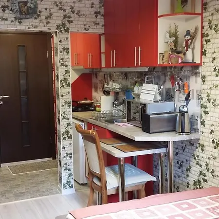 Small And Cozy Studio Apartment-2