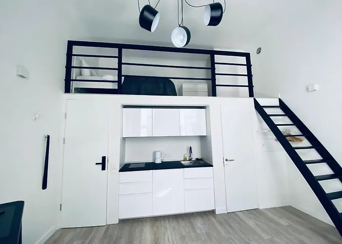 B&W Apartment Riga admite animales