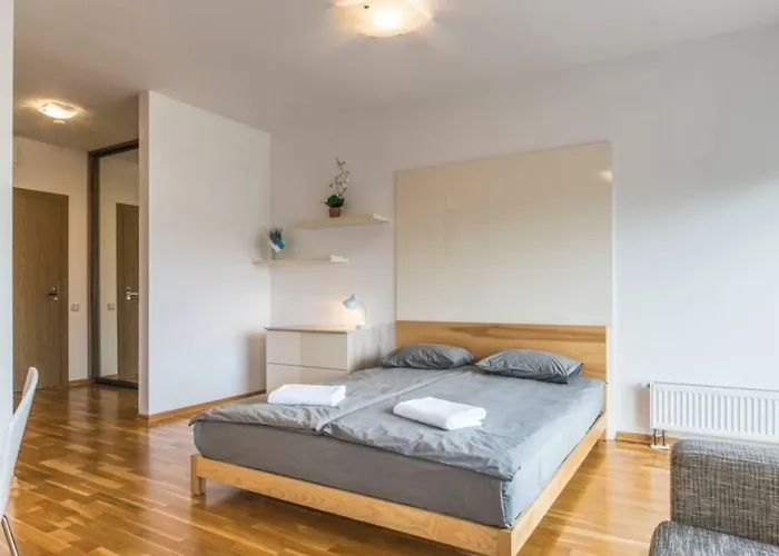 Riga Apartment In The Heart Of City